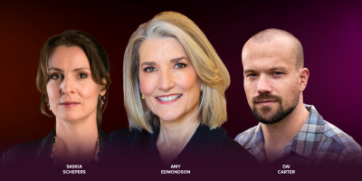 Superpowers voor Teams — with Amy Edmondson (Leusden)